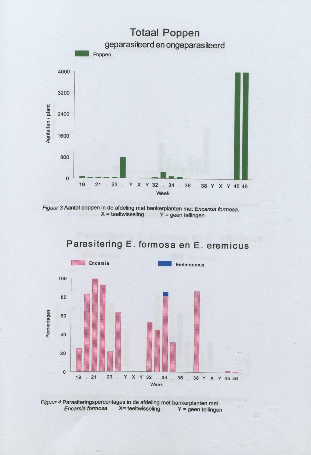 Poppen Totaal Poppen geparasiteerdenongeparasiteerd 4000 3200 (0 O. ^ C jd 3 c 2 2400 1600 800 Figuur 3 Aantal poppen in de afdeling met bankerplanten met Encarsia formosa.