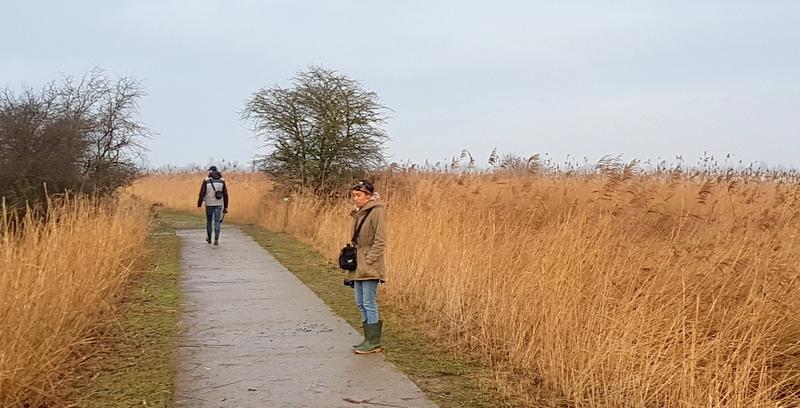 ruim voldoende voedsel aanwezig is.