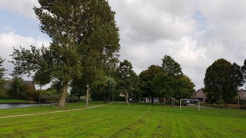 Functionaliteit en groenbeleving Hieronder beschrijven wij per locatie de kenmerken, hoe het park gebruikt wordt en welke groenbeleving het geeft. De locatiegegevens staan in bijlage 1.