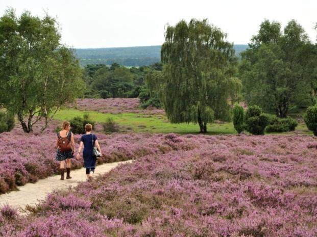 Pilotgebied Kempengemeenten Bergeijk, Bladel, Eersel en Reusel-De Mierden,