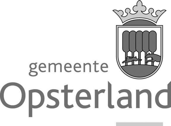 GEMEENTEBLAD Officiële uitgave van de gemeente Opsterland Nr.