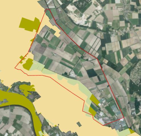 Aanvulling milieueffectrapport Energielandgoed Wells Meer projectnummer 0419835.00 23 november 2018 Gemeente Bergen Figuur 1: Ligging plangebied (rode contour) ten opzichte van NNN-gebied (portal.