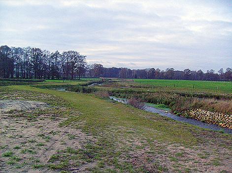 In 1844 werd hier Herman Schaepman geboren, de latere staatsman, wiens standbeeld sinds 1927 op de Tubberger Esch staat. Tegenwoordig is de Eeshof een seniorencomplex annex verzorgingshuis.