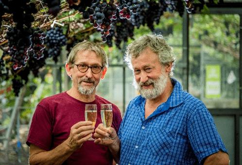 Mensen die geen wijn lusten of kinderen die nog geen alcohol drinken krijgen een glaasje druivensap.