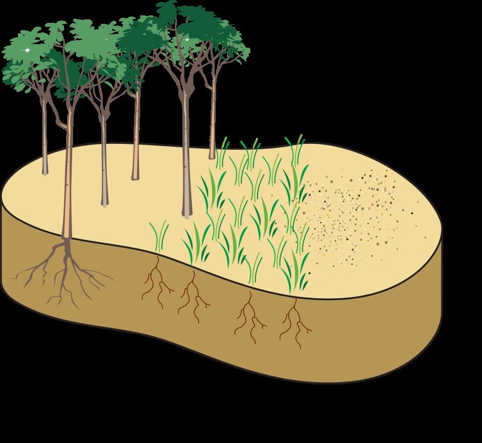 7 Grondwateraanvulling Brandstof van het hydrologisch systeem