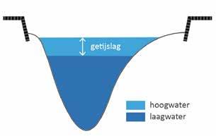 intergetijden gebieden en geulen veranderen nauwelijks meer van plaats. Daardoor treedt minder verjonging van leefgebieden op.