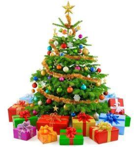 Kerst viering Hoevenbraak: Woensdagavond 20 december staat er weer voor alle kinderen een kerstviering gepland. Dit is een verplichte activiteit. Deze viering zal plaatsvinden van 17.30 uur tot 19.