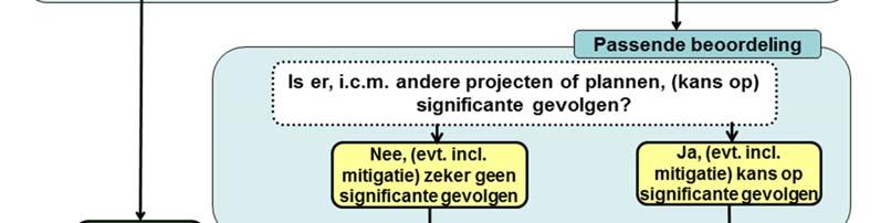 in combinatie met andere plannen of projecten (de zogenaamde cumulatie) een verslechtering of verstoring van de beschermde soorten en/of habitats kan veroorzaken.