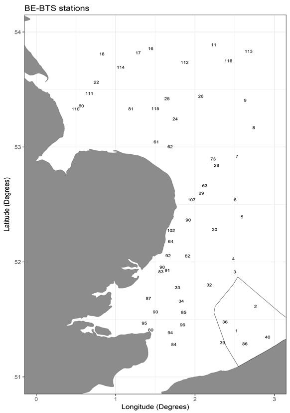 Figuur 3.13. Ruimtelijke spreiding van de staalnamepunten binnen het Belgisch luik van de North Sea Beam Trawl Survey (NS-BTS).