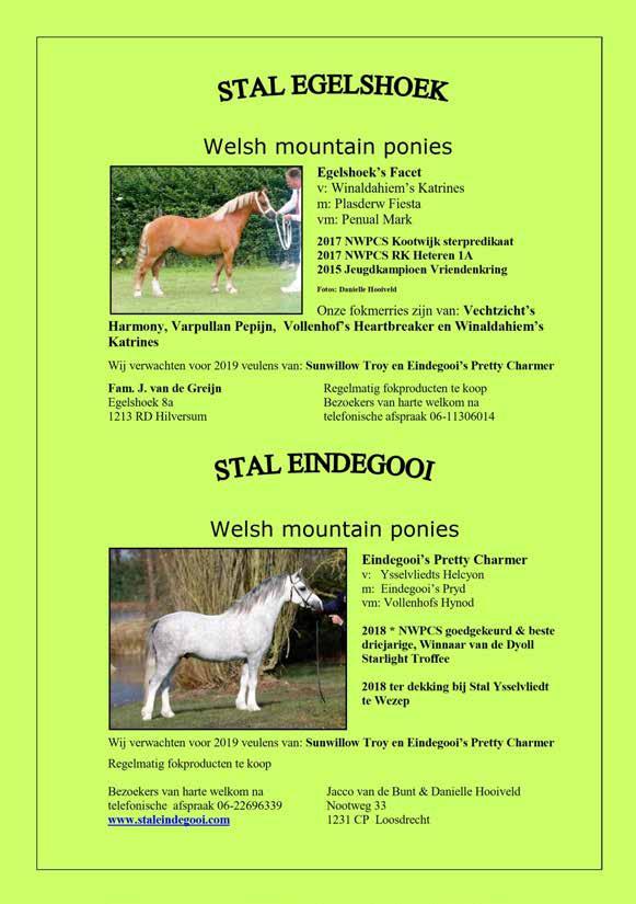 Welsh mountain ponies Egelshoek s Facet v: Winaldahiem s Katrines m: Plasderw Fiesta vm: Penual Mark 2017 NWPCS Kootwijk sterpredikaat 2017 NWPCS RK Heteren 1A 2015 Jeugdkampioen