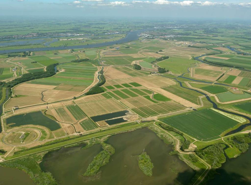 Noordwaard Doel: Ruimte geven voorde Merwede (-30cm bij Gorinchem, -60cm bij de Noordwaard) Maatregel: Ontpoldering Belangrijke stakeholders: o.a. ca.320 boerenbedrijven, ca.