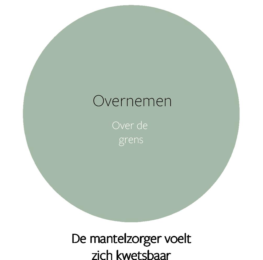 gespecialiseerde organisaties NAH voor respijt of verblijf