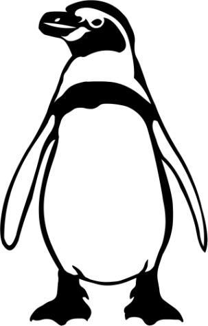 Zeker tijdens en na het zwemmen? [Pinguïns hebben een vetlaag onder hun huid, dikke veren en iets dat ervoor zorgt dat ze droog blijven.] Stap 2.
