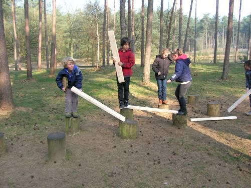 BOOMSTAMMENOVERSTEEK Locatie Aan de ingegraven boomstammen Materiaal Eventueel 10 houten plankjes, kan ook zonder.