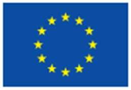 10 maart 2017 EMA/754608/2016 Divisie Informatiebeheer EudraVigilance - Europese database van vermoedelijke bijwerkingen van geneesmiddelen: Gebruikershandleiding voor online toegang via het portaal