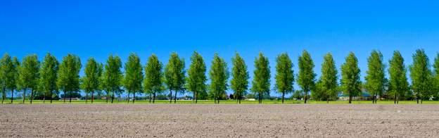 BELANGRIJKE REGELS GELIBERALISEERDE PACHT De grootste verschillen met de reguliere pacht zijn: Pachter en verpachter bepalen zelf de pachtprijs.