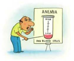Definitie anemie Te laag hemoglobinegehalte
