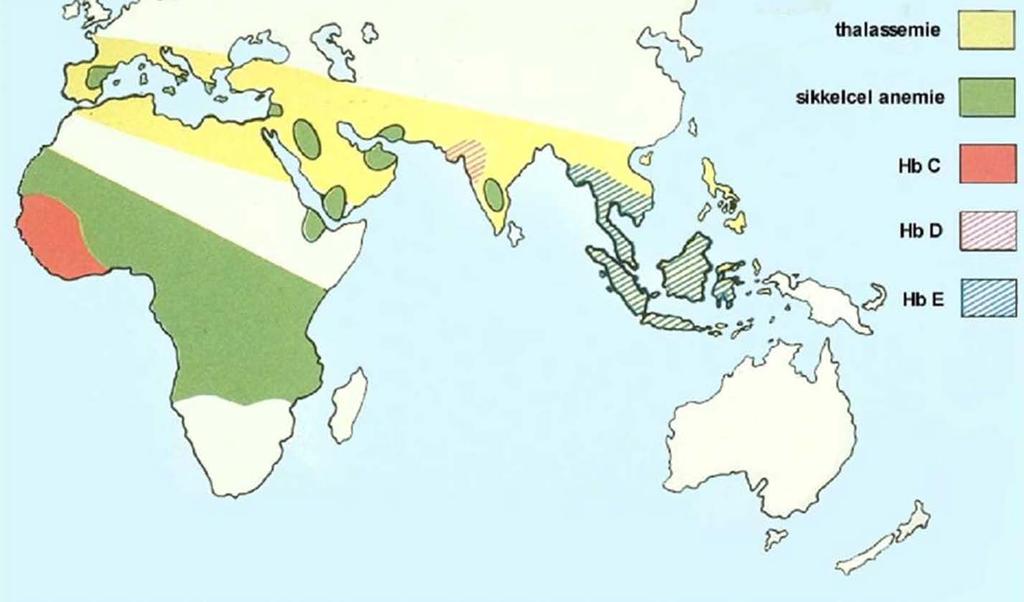 Geographie van