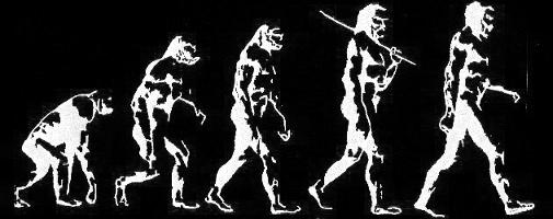 evolutie niet uit ons bestaan verdwenen?