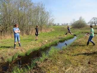 Halverwege de middag ontmoeten we elkaar weer en gaan we wisselen. Op weg naar de trilvenen is er van alles te zien: plekken waar de otter het water uitkomt en oversteekt naar een andere sloot.