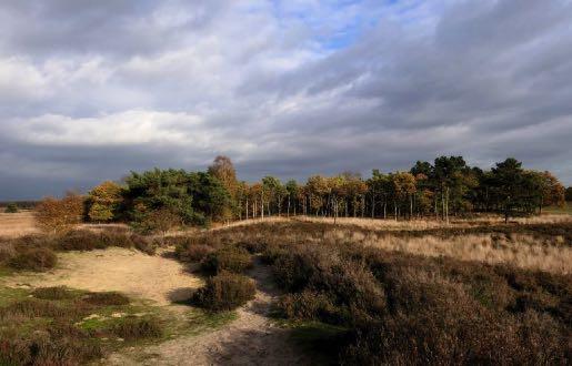 Maximaal zijn hier 100 punten te scoren. Letters op de route In het ochtend- en middagdeel van de rit wordt een gedeelte gereden aan de hand van ingetekende pijlen op een topografische kaart.