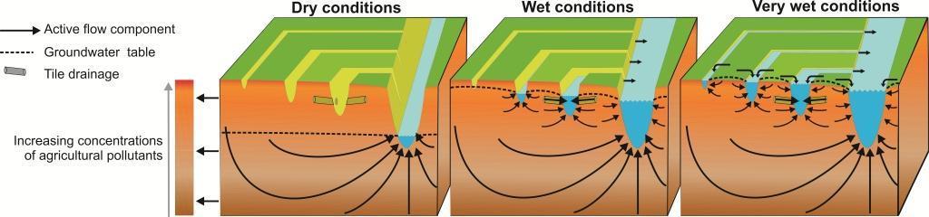 Eutrofiëring Interactie bodem, grondwater,
