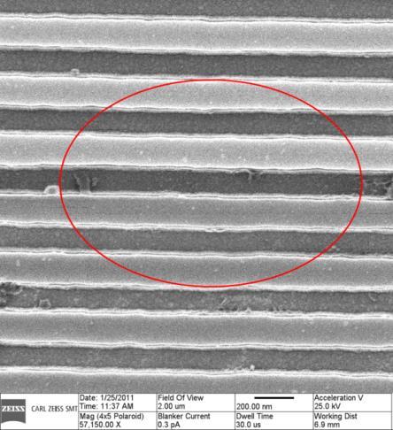 Microscopy (TEM) Focus Ion Beam (FIB)