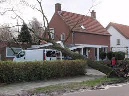 31 Wonen Opdracht 33: Lees de situatie en reageer. Het heeft gestormd. Een boom viel op uw dak. U heeft hulp nodig.