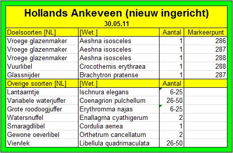 4. Resultaten Hollands Ankeveen (nieuw ingericht) 4.1 Hollands Ankeveen (30-05-2011) De route van deze inventarisatie is te vinden op pagina 25.
