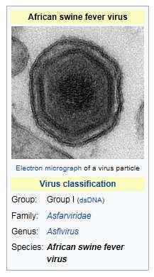 message Asfarviridae =