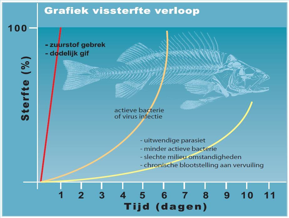 Herkenning Hoe verloopt de sterfte in de tijd?