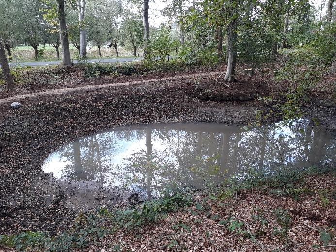 gras. Deze worden met klein materieel en veel zorg voor de flora uitgehaald. De bagger wordt afgevoerd en niet ter plaatse verwerkt.