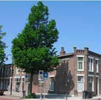 De bestaande lindebomen langs de Veenweg, ter hoogte van blok 1, worden naar het terrein van de speeltuin verplaatst. In alle woonstraten tenminste 1 boom.