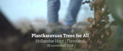 In totaal zijn er in 2018 door Trees for All 35.266 bomen geplant. Het is niet zomaar een bos dat is geplant in het Hollandse Hout.