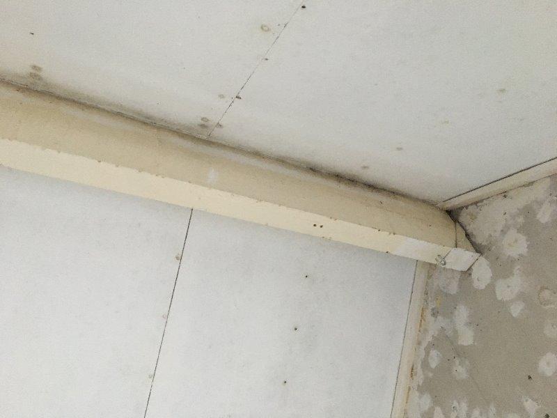 Opmerk.: De nok van het dak laat enige vorm van condensatie of vochtsporen zien. Er is geen sprake van een lekkage. De nokpannen kunnen bv.