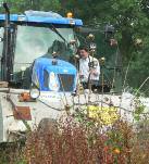 zavelgronden minder goed werkt. Ook het zaaien van bloemenmengsels in rijen (regels) kan helpen. Men kan tussen de rijen door middel van schoffelen het onkruid gemakkelijker verwijderen.