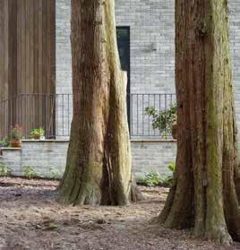 bestaande bomen