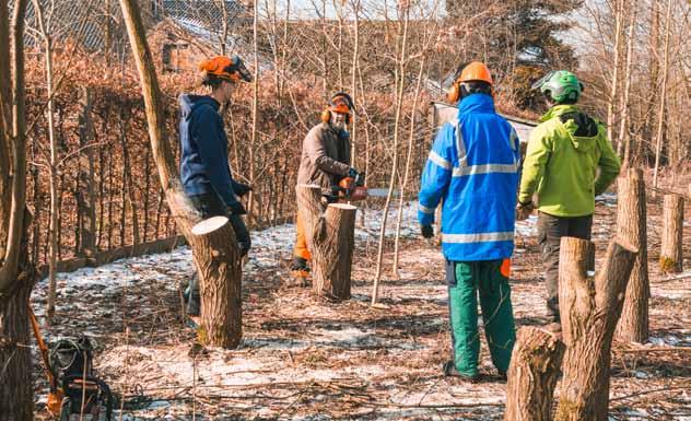 Het knotteam in opleiding: Knotters van het knotteam van Regionaal Landschap Zuid Hageland kregen een meerdaagse opleiding van professionele boomverzorgers Knotteam: Het knotteam: