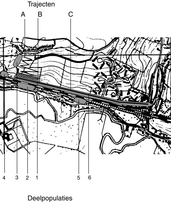 Project rosse sprinkhaan: monitoringverslag 2001 3 INLEIDING De rosse sprinkhaan komt slechts op één plaats in ons land voor, langs de spoorlijn bij Schin op Geul in de provincie Limburg.