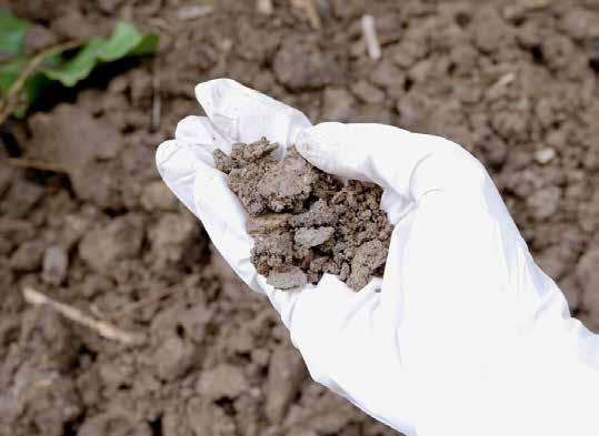 Wat als er bodemverontreiniging wordt gevonden? Als de grond verontreinigd is, is een sanering niet per definitie noodzakelijk.