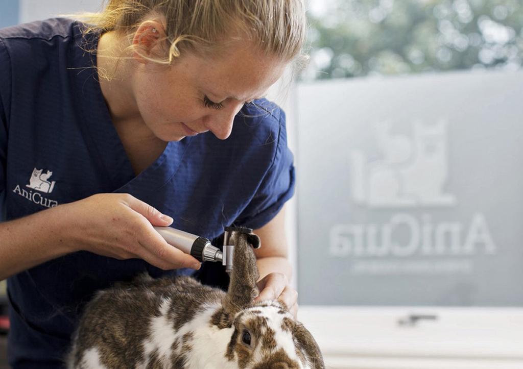 Marketing #VACATURE BUSINESS CONTROLLER Er lopen in Nederland meer dan vier miljoen huisdieren rond. En net als hun baasjes worden ook zij wel eens ziek.