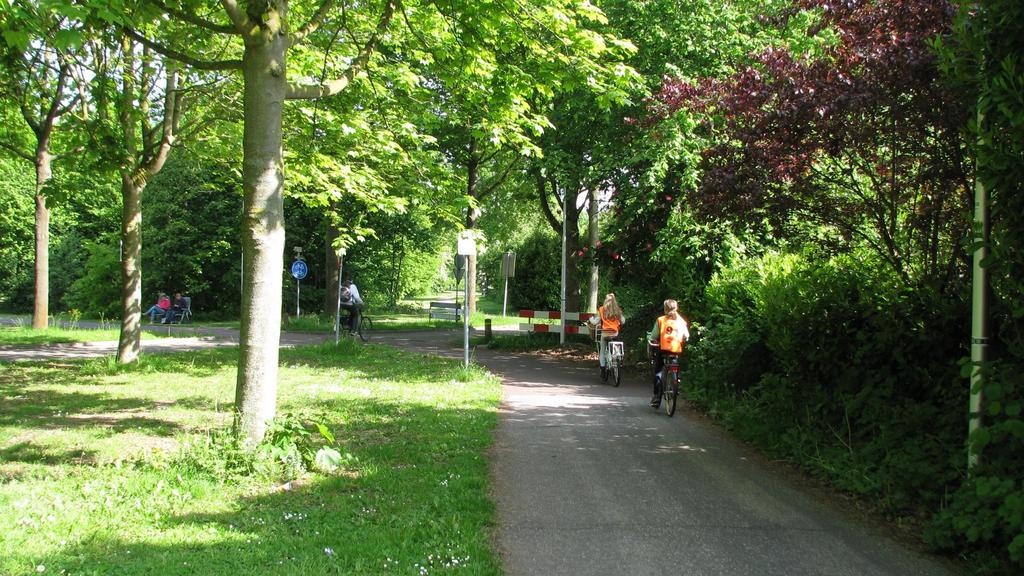 Route verkeersexamen - Oversteek Lupineoord Je fietst op het fietspad en steekt hier de Lupineoord over.
