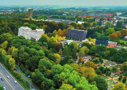 Stremming vanwege veiligheid Het afsluiten van de zuidelijke rijbaan is nodig vanwege de veiligheid. Het intrillen kan schade aan de weg veroorzaken.