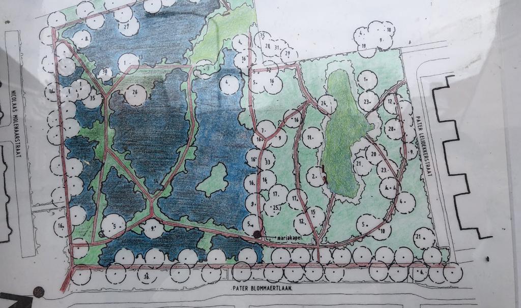 Het Patersbos is de voormalige kloostertuin van de paters Jezuïeten. Het Mariakapelletje herinnert nog aan deze tijd. Paters die in de missie werkten, namen allerlei inheemse planten mee naar huis.