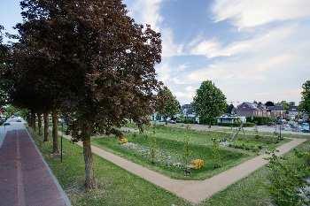 voorzieningen, zoals een wadi of zaksloot. De bovengrondse verwerking verhoogt het waterbewustzijn en verkleint de kans op foutaansluitingen.