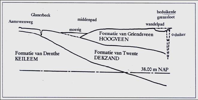 Figuur 4 Geohydrologische dwarsdoorsnede Aamsveen Door de grote variatie in hoogte, moedermateriaal en hydrologie zijn in het gebied een veelheid aan bodemtypen aanwezig.