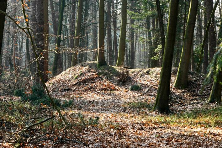 De landgoederen zorgden met hun bosgebieden onder andere voor camouflage.