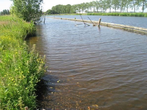 Figuur 2. Foto-impressie van het plangebied Leimuiden-west en de directe omgeving. Ringvaart 1.