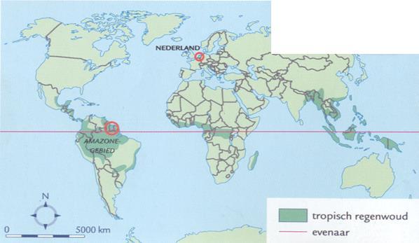 Lees de uitleg over het regenwoud. Indonesië Zie je de rode lijn? Dat is de evenaar. Zie jij de eilanden bij de pijl? Dat is Indonesië.