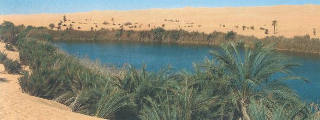 Lees het verhaal over de nomaden van de Sahara. Dit zijn nomaden van de Sahara. De Sahara is een zand-woestijn. In de Sahara is het heel heet. De nomaden wonen in tenten. Ze reizen rond.